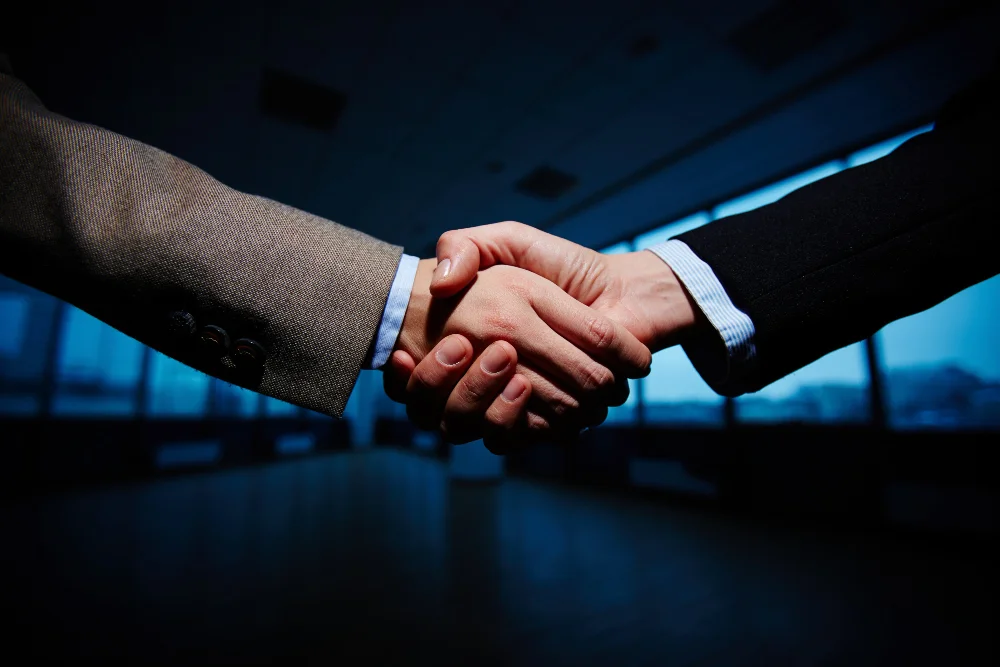 Professional Investigation